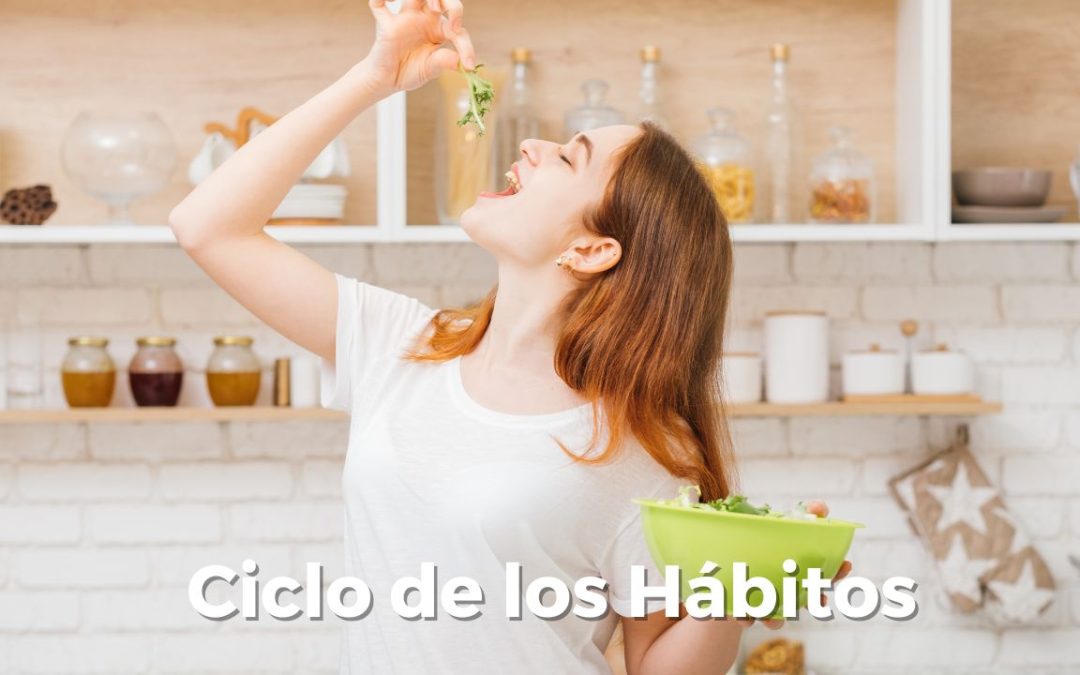 Ciclo de los habitos