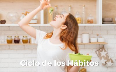 Ciclo de los habitos